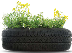 Tyre Garden