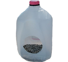 Bird Feeder