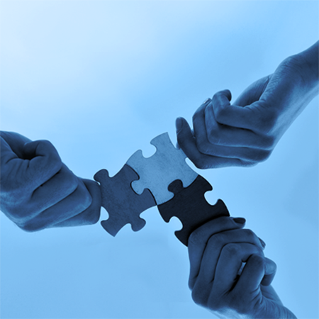New Services Launched