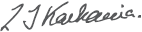 ceo sign