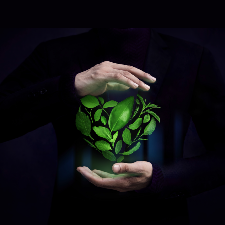 ceo