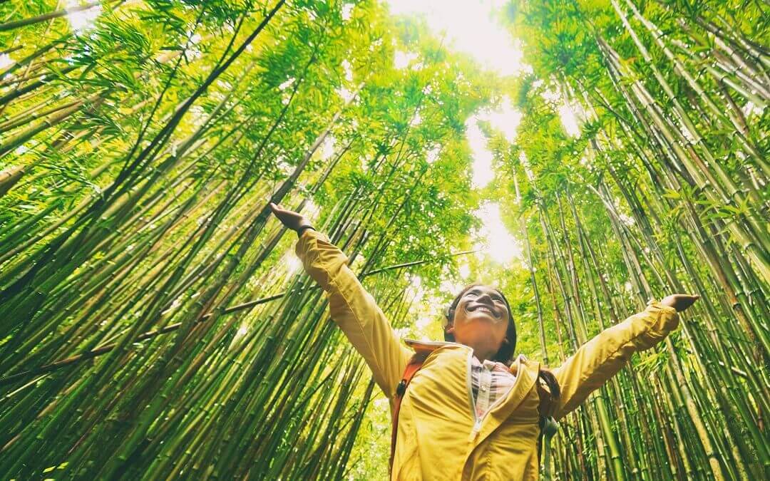 6 ways to become an eco-friendly traveller in the post covid world
