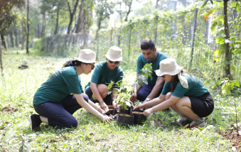 Jakarta indonesia planting trees 2023