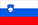 slovenia Flag